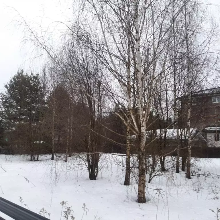 Участок в Московская область, Истра муниципальный округ, д. Красный ... - Фото 1