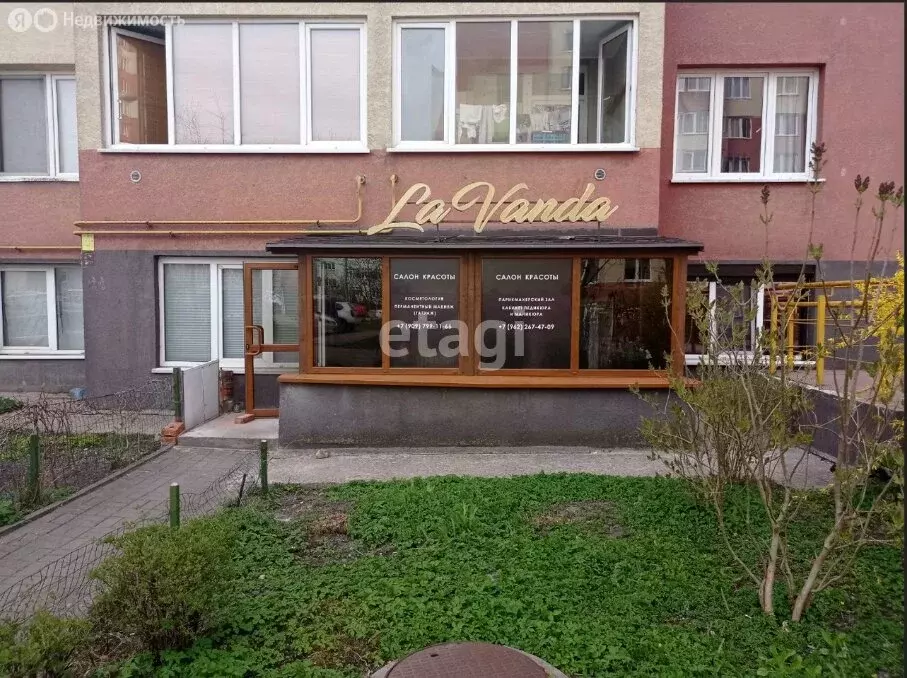 Помещение свободного назначения (50 м) - Фото 1