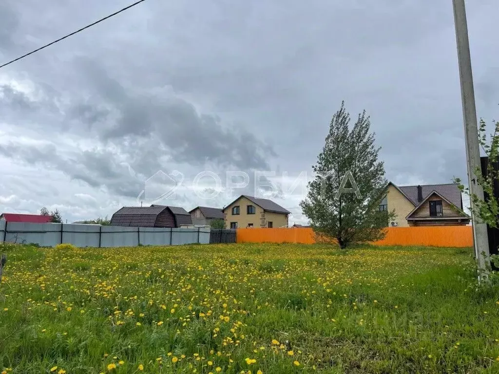 Участок в Тюменская область, Тюменский район, д. Есаулова, Клюква кп  ... - Фото 1