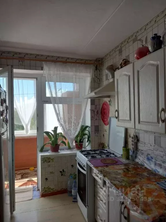 2-к кв. Крым, Черноморский район, с. Окуневка ул. Первомайская, 3 ... - Фото 1