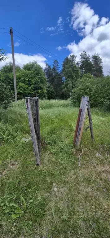 Участок в Ленинградская область, Выборгский район, Рощинское городское ... - Фото 2