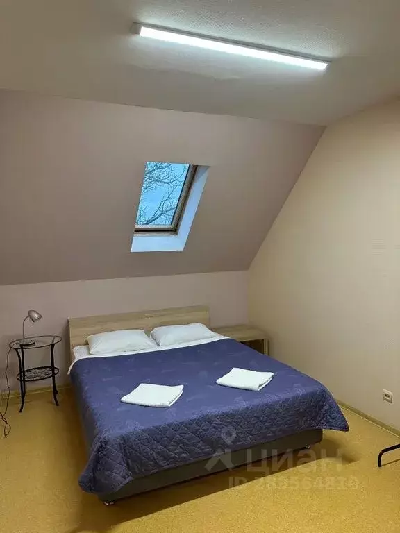 Комната Московская область, Истра ул. Щеголева, 14 - Фото 2