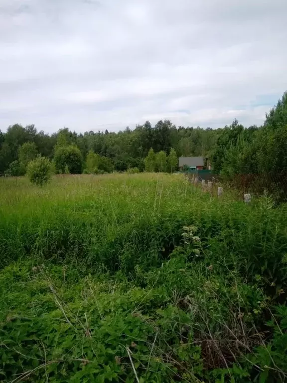 Участок в Московская область, Ступино городской округ, д. Мясищево ул. ... - Фото 0