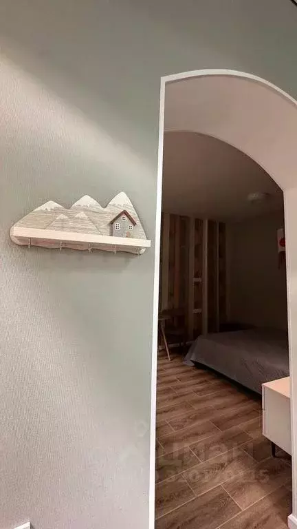 1-к кв. Краснодарский край, Сочи Центральный мкр, ул. Роз, 37 (30.0 м) - Фото 2