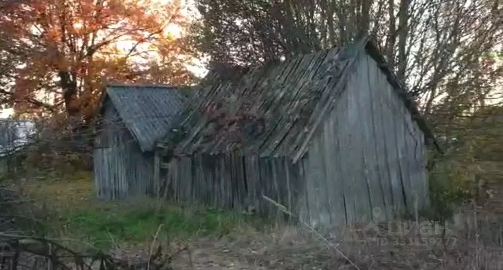 Участок в Нижегородская область, Чкаловск муниципальный округ, д. ... - Фото 2