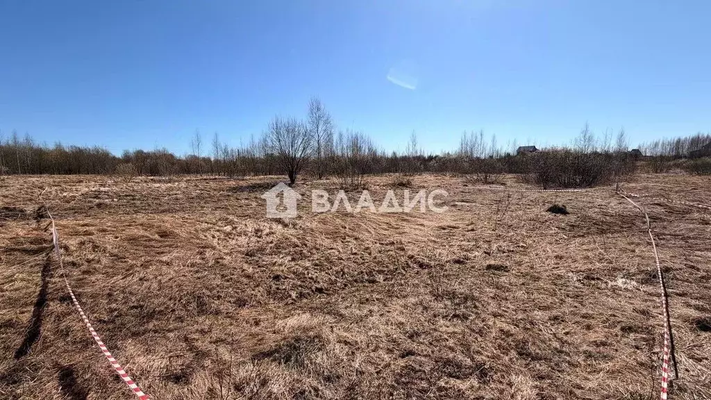 Участок в Ивановская область, Фурманов Энтузиастов мкр, 25 (8.0 сот.) - Фото 2