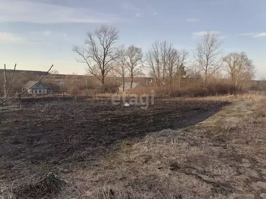 Участок в Мордовия, Лямбирский район, с. Смольково ул. Выглядовка ... - Фото 0