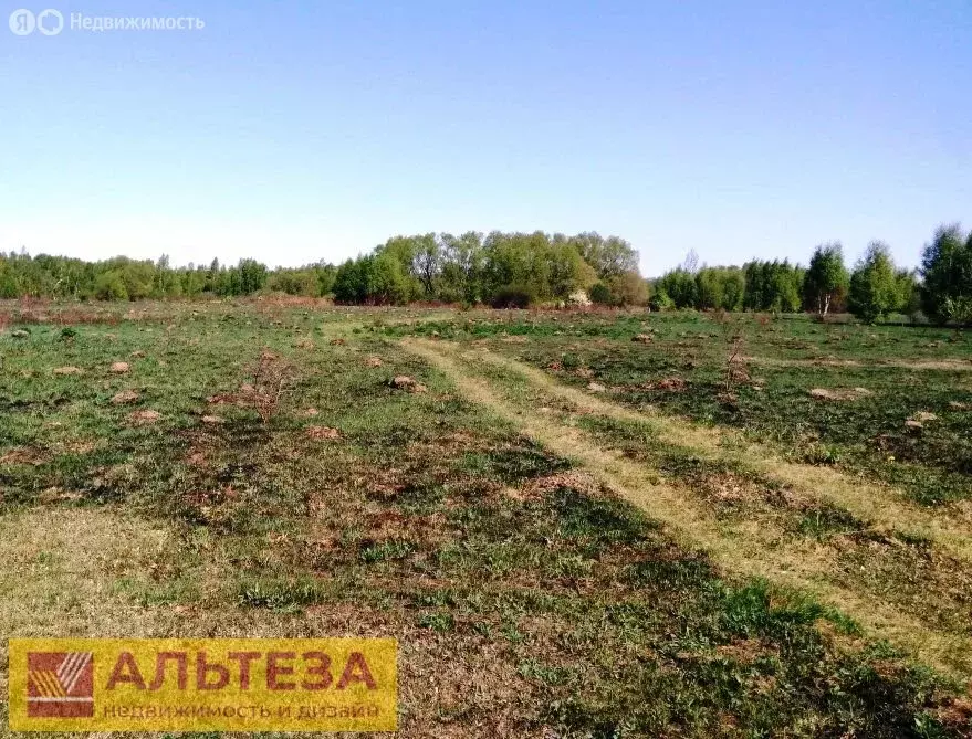 Участок в Калининградская область, Багратионовский муниципальный ... - Фото 1