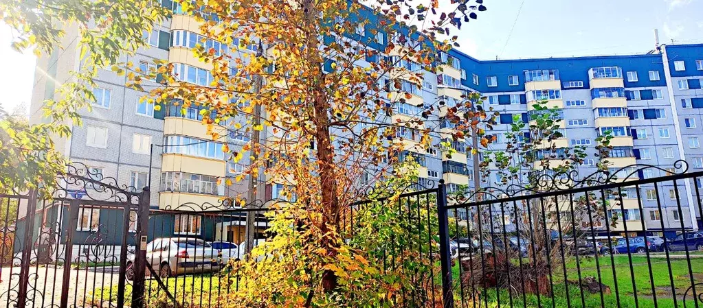 4-к кв. Пермский край, Пермь ул. Маршала Толбухина, 1 (84.8 м) - Фото 1