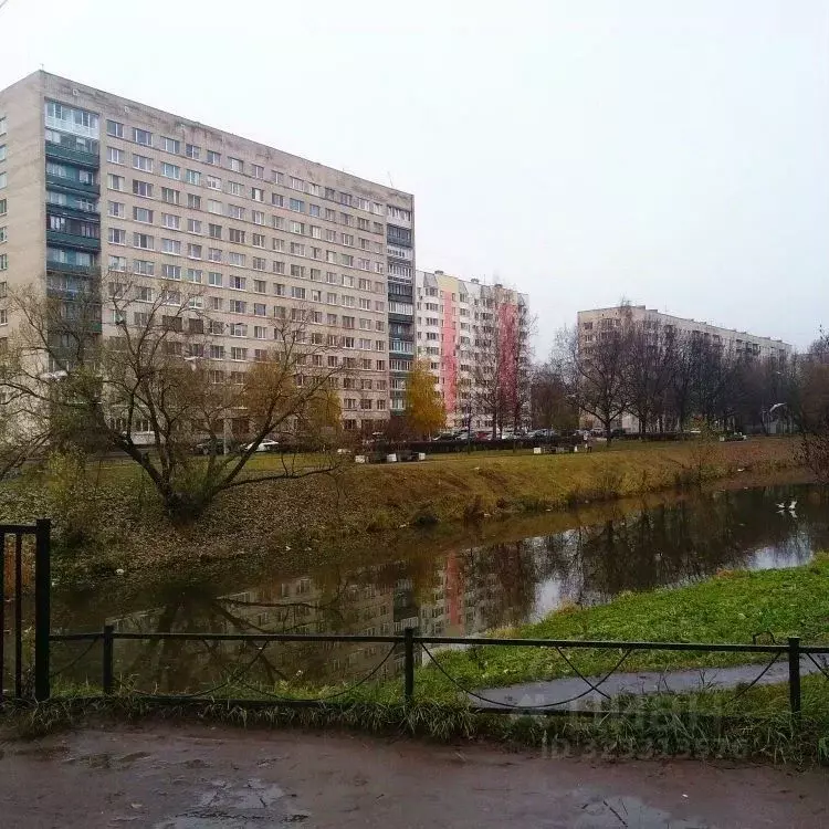 1-к кв. Санкт-Петербург просп. Ветеранов, 93 (36.0 м) - Фото 1