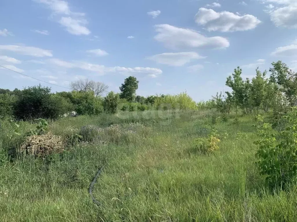 Дом в Белгородская область, Белгородский район, Бессоновское с/пос, ... - Фото 0