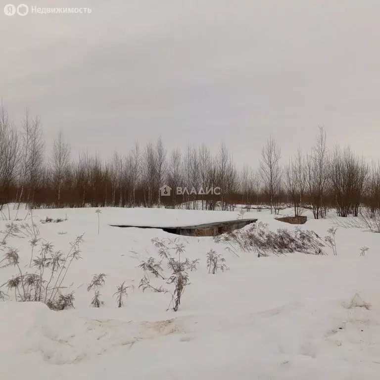 Участок в Московская область, городской округ Коломна, село Никульское ... - Фото 2