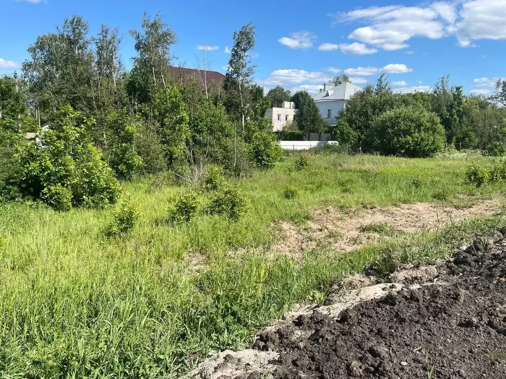 176 участок митино. Село Митино Нижегородская область. Белогузово Нижегородская область. Владимирская область д.Митино. Д Митино Горьковской обл Кстовский район.