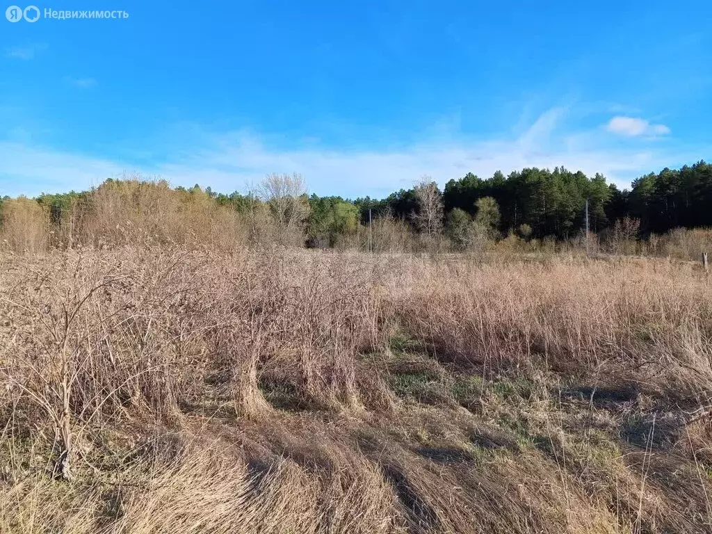 Участок в Заводоуковск, Советский переулок (10 м) - Фото 2