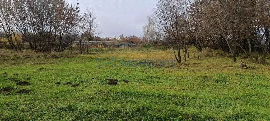 Участок в Нижегородская область, Воротынский муниципальный округ, с. ... - Фото 2