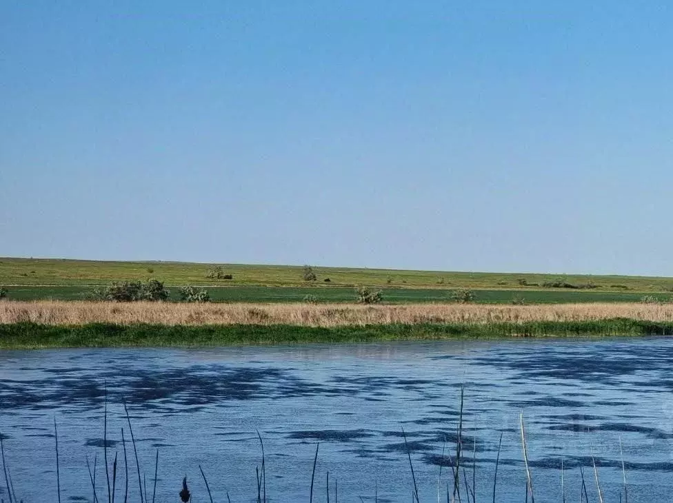 Участок в Крым, Ленинский район, Останинское с/пос, с. Зеленый Яр  ... - Фото 2