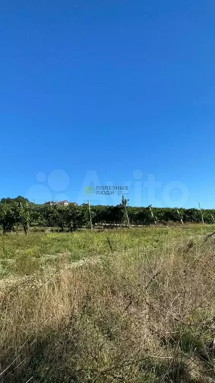 Участок 6 сот. (СНТ, ДНП) - Фото 1