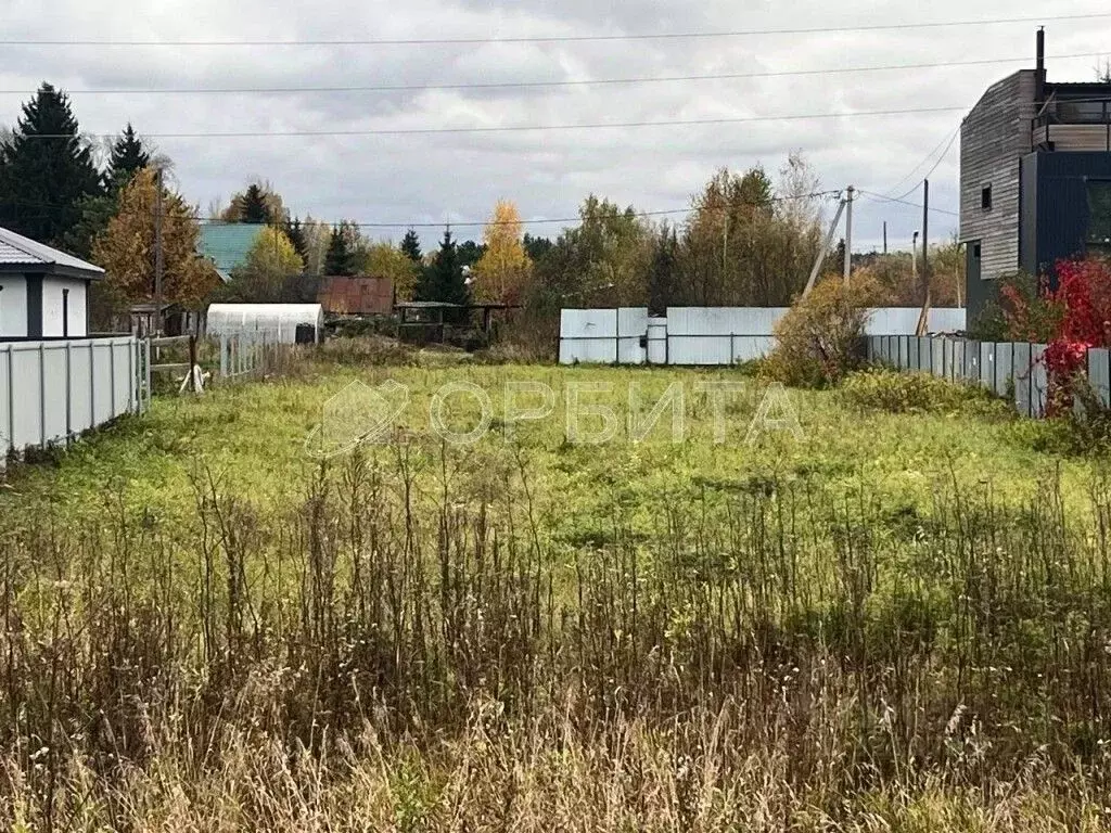 Участок в Тюменская область, Тюменский муниципальный округ, д. Черная ... - Фото 1