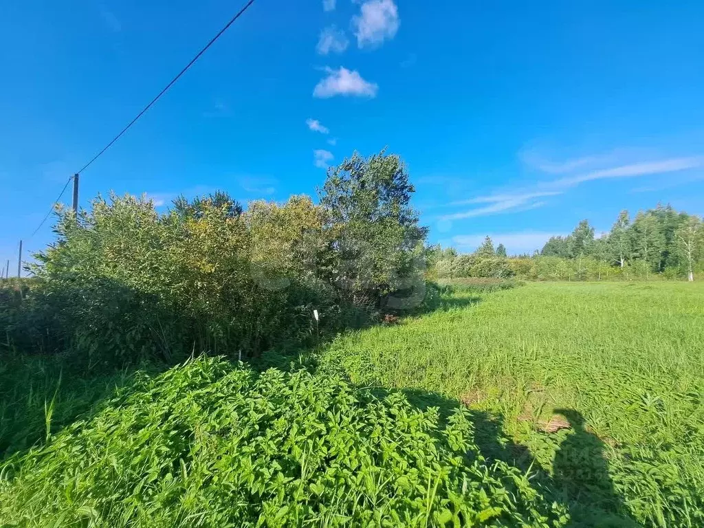 Участок в Тюменская область, Тюмень Садовое товарищество Липовый ... - Фото 1