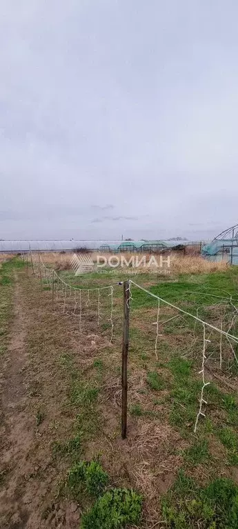 Участок 20 сот. (ИЖС) - Фото 0