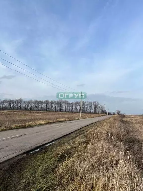 Участок в Пензенская область, Пензенский район, Воскресеновский ... - Фото 1