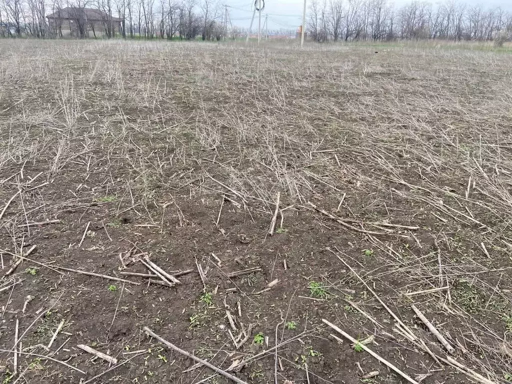 Участок в Ростовская область, Мясниковский район, с. Большие Салы ул. ... - Фото 1