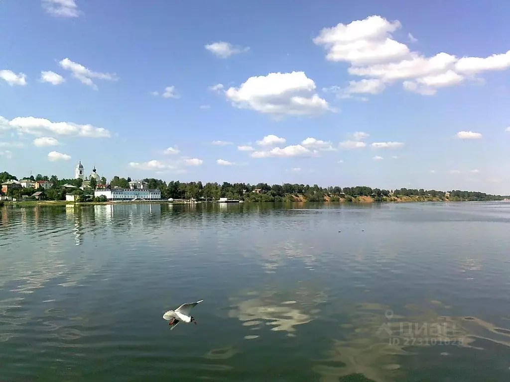 Участок в Ярославская область, Мышкинский район, Охотинское с/пос, д. ... - Фото 1