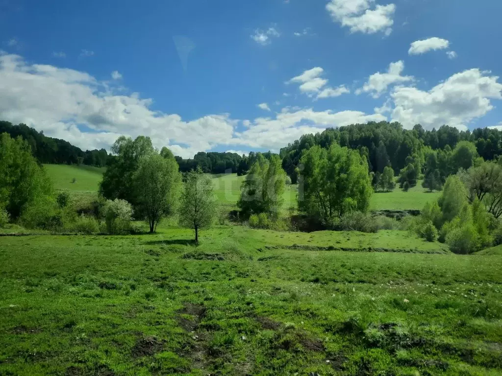 Участок в Алтайский край, Алтайский район, с. Сараса Новая ул. (300.0 ... - Фото 1