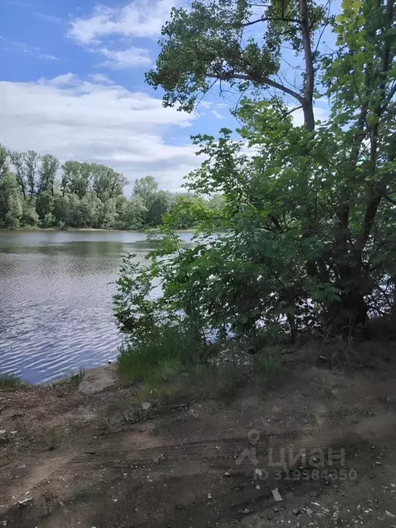 Участок в Самарская область, Кинель городской округ, Алексеевка пгт  ... - Фото 1