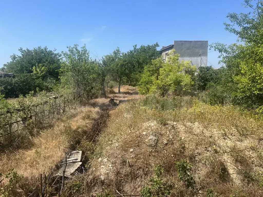Участок 4,5 сот. (СНТ, ДНП) - Фото 0