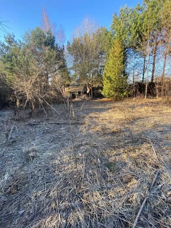 Участок в Тверская область, Конаковский муниципальный округ, с. ... - Фото 1