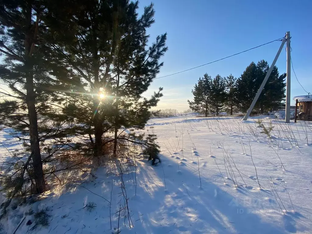 Участок в Красноярский край, Зеленогорск  (15.0 сот.) - Фото 2