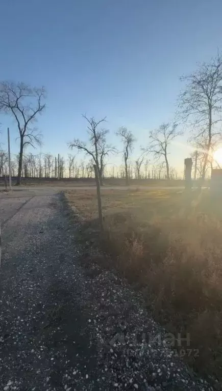 Участок в Чеченская республика, Аргун городской округ, пос. Примыкание ... - Фото 1