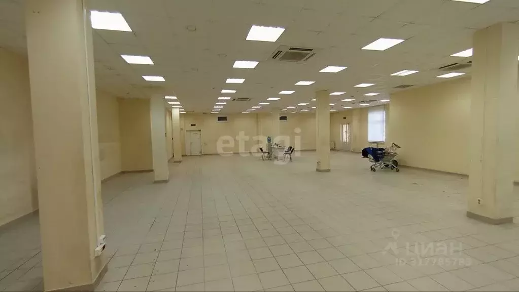 Торговая площадь в Воронежская область, Воронеж ул. Хользунова, 25/1 ... - Фото 1