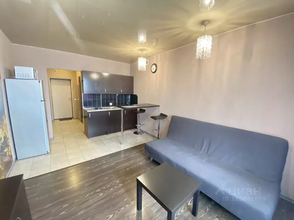 Студия Новосибирская область, Новосибирск ул. Котовского, 3/2 (24.8 м) - Фото 2