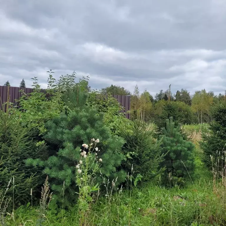 Участок в Московская область, Мытищи городской округ, с. Федоскино ул. ... - Фото 2