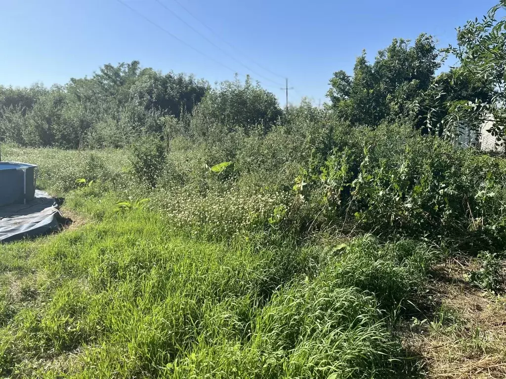 Участок в Краснодарский край, Северский район, Новодмитриевское с/пос, ... - Фото 1