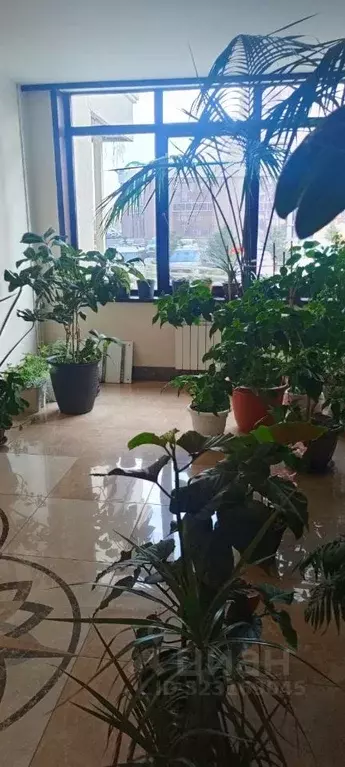 3-к кв. Кемеровская область, Кемерово просп. Притомский, 25к2 (58.0 м) - Фото 1