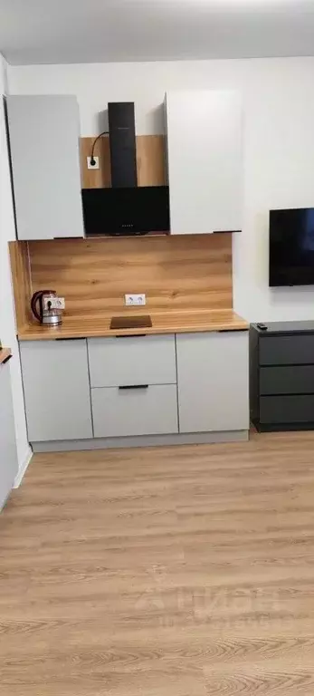 Студия Московская область, Домодедово городской округ, с. Ям ул. ... - Фото 2