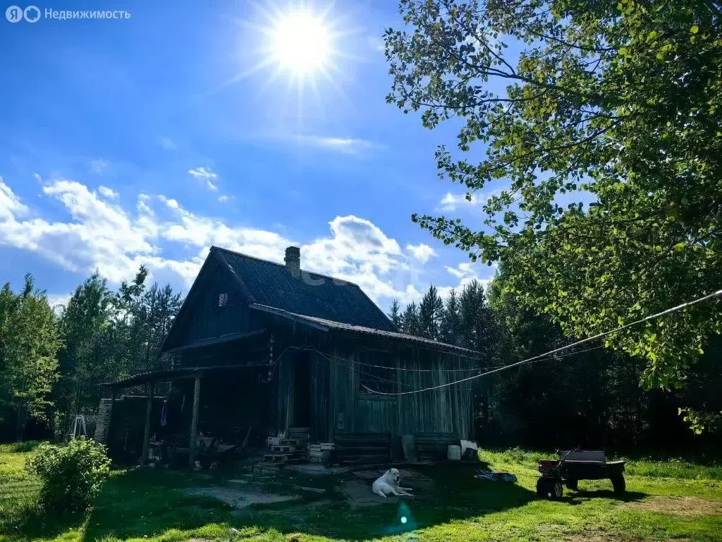 Дом в Ленинградская область, Волхов (60.4 м) - Фото 1