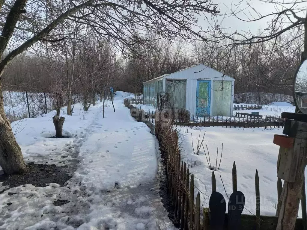 Дом в Белгородская область, Губкинский городской округ, с. Аверино ул. ... - Фото 1