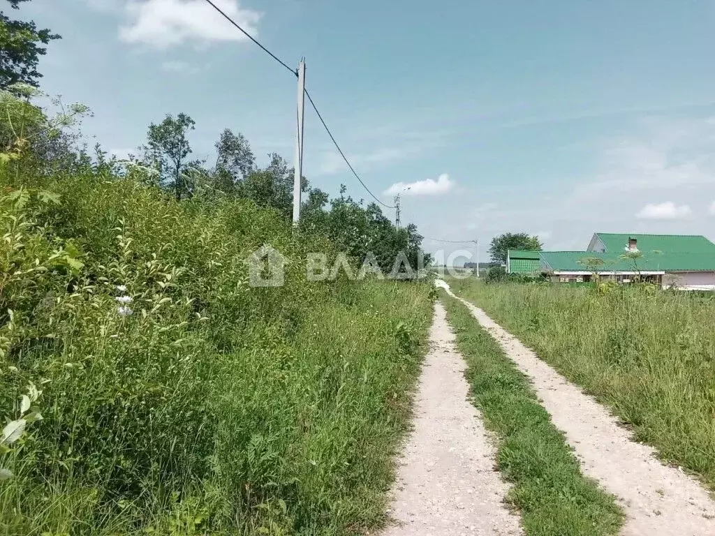 Участок в Владимирская область, Гороховецкий район, Куприяновское ... - Фото 1