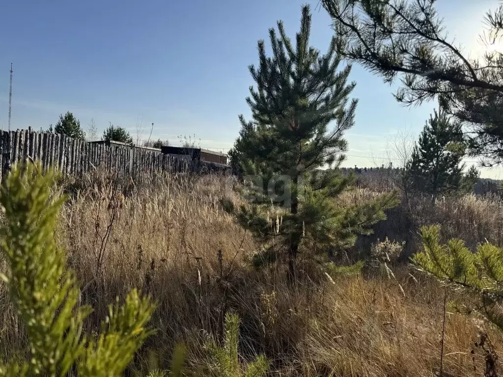 Участок в Курганская область, Шадринск Газовик кп, ул. Еловая (9.3 ... - Фото 2