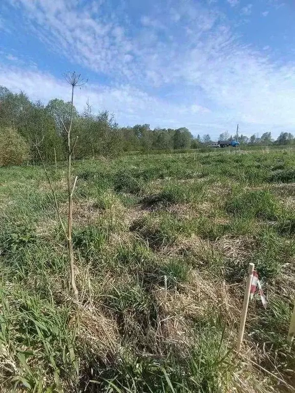 Участок в Новгородская область, Новгородский район, Ермолинское с/пос, ... - Фото 1