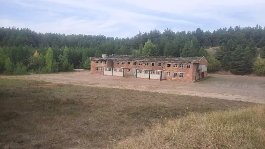 Склад в Саратовская область, Балашовский район, с. Репное ул. Карла ... - Фото 2