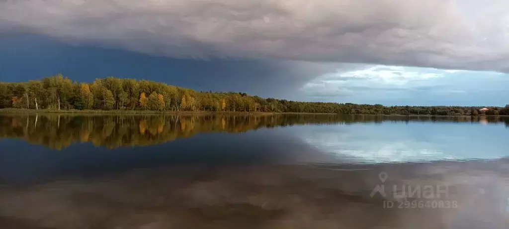 Участок в Новгородская область, Валдайский район, Короцкое с/пос  ... - Фото 0