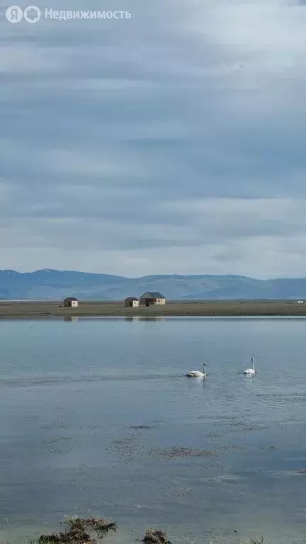 Участок в Кош-Агач, площадь Ленина (50 м) - Фото 2