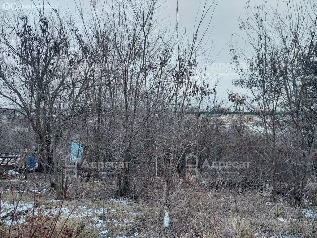 Участок в Волгоград, Советский район, СНТ Наука (6.27 м) - Фото 0