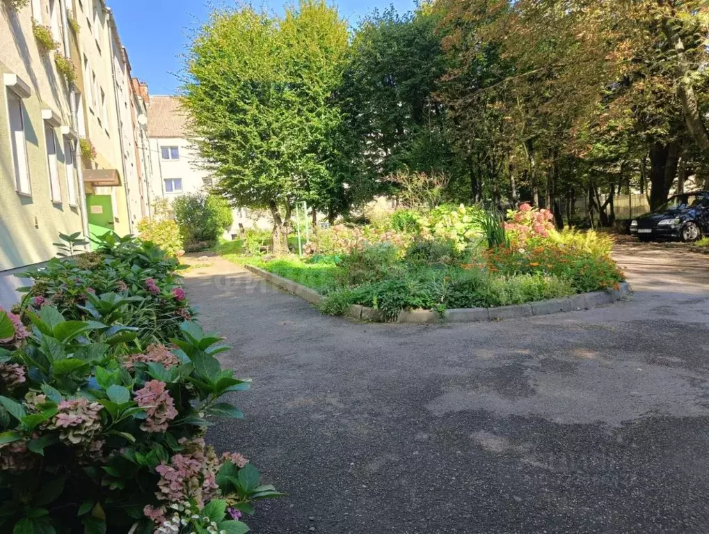 2-к кв. Калининградская область, Калининград ул. Аллея Смелых, 45А ... - Фото 1