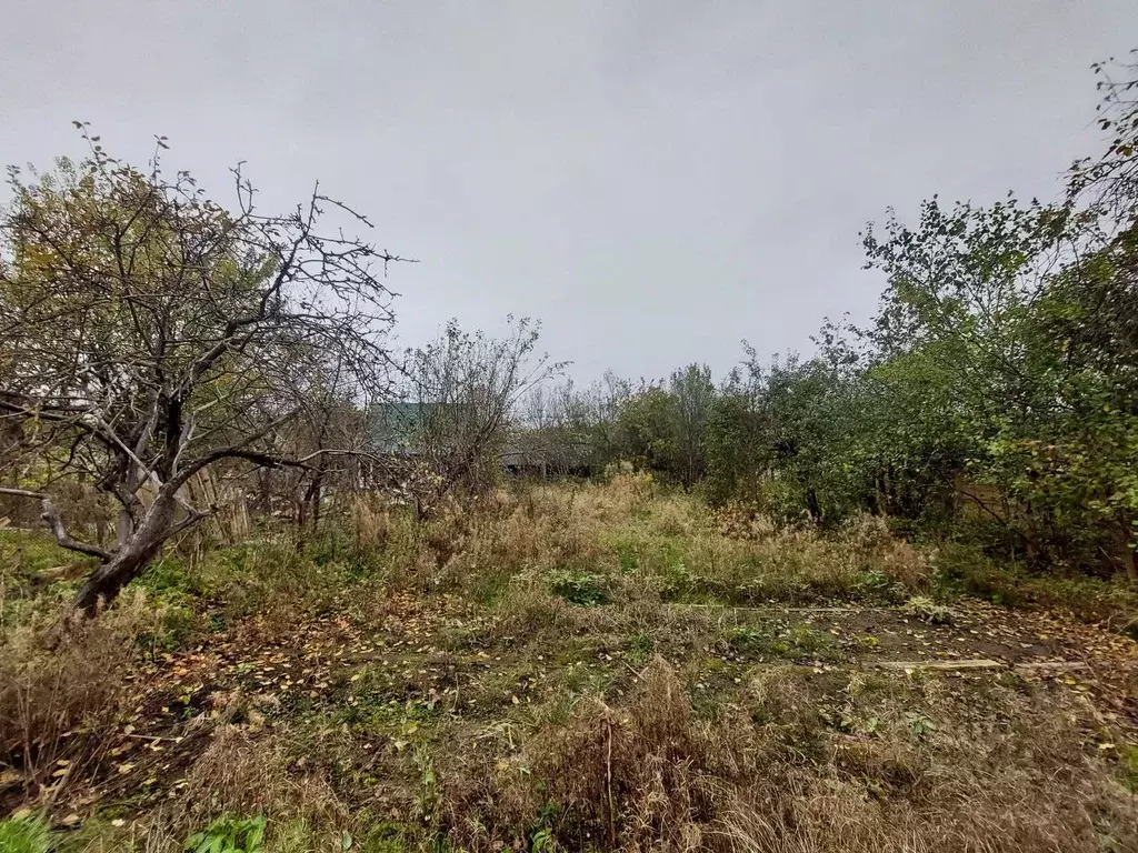 Участок в Псковская область, Псков ул. Софьи Перовской (10.0 сот.) - Фото 2